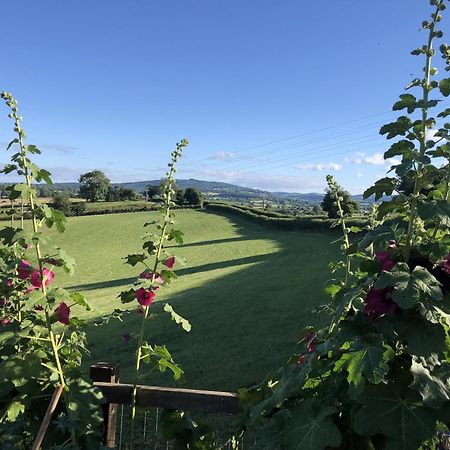 Betula Views Studio Newent Екстер'єр фото