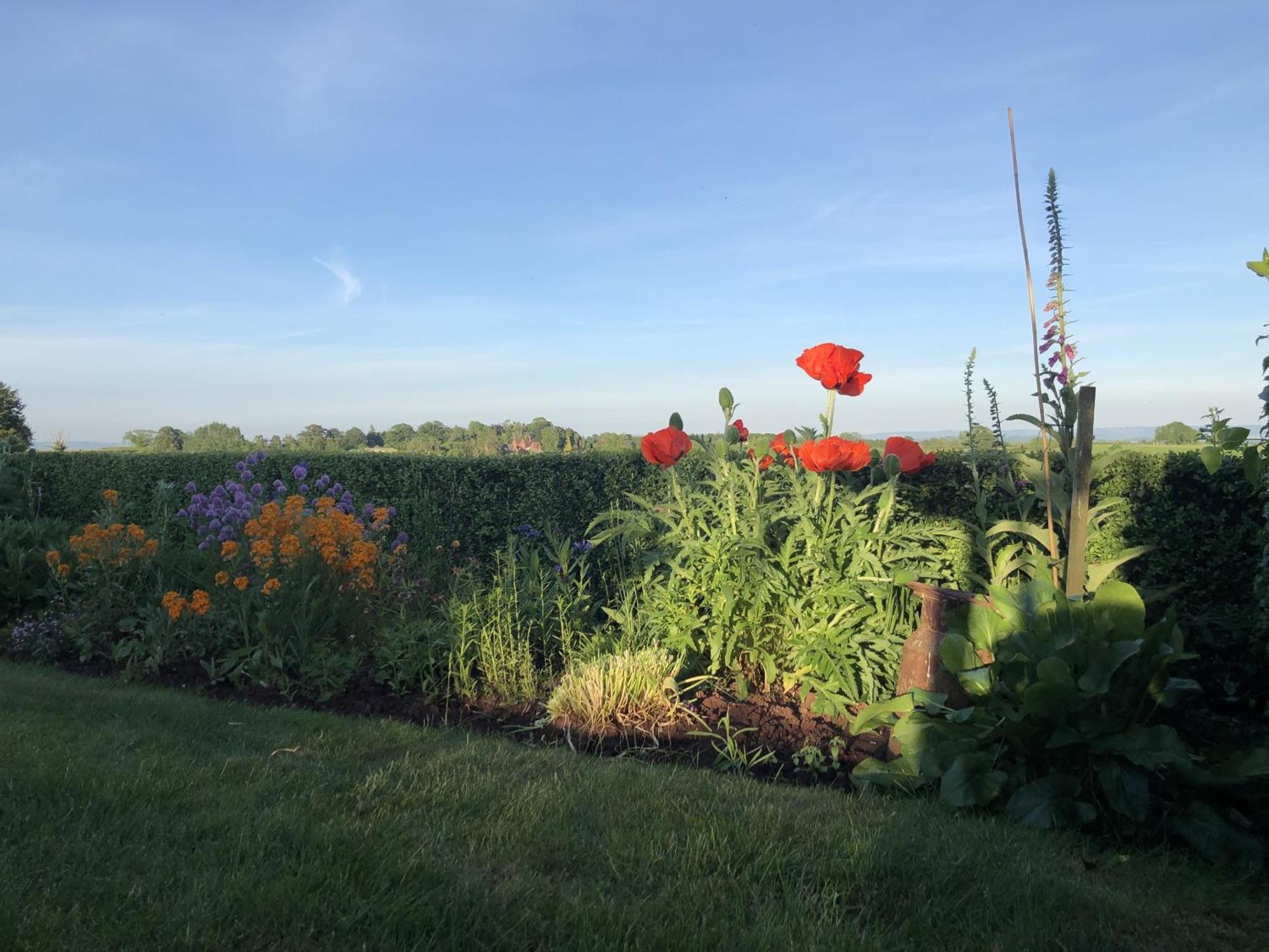 Betula Views Studio Newent Екстер'єр фото
