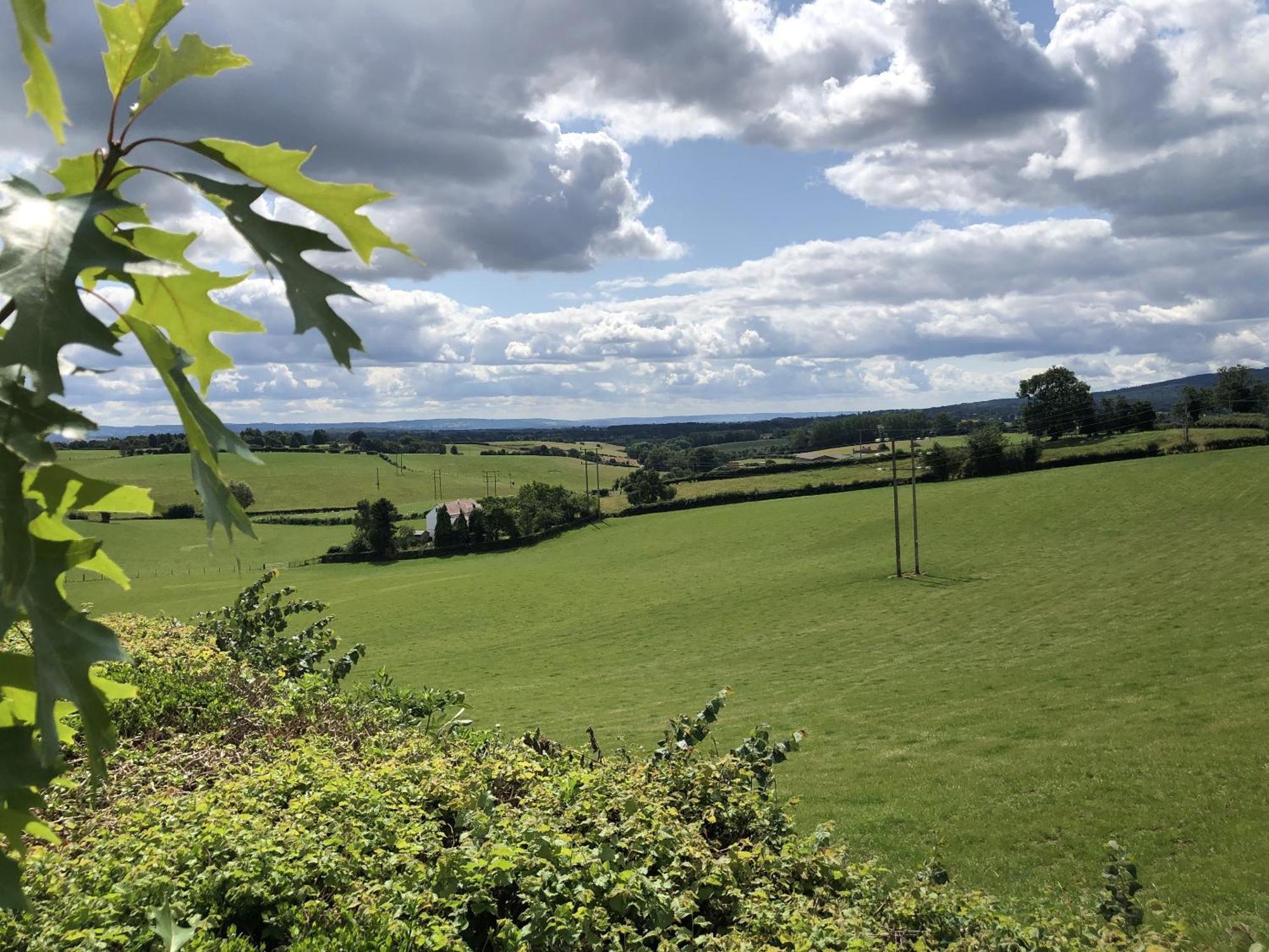 Betula Views Studio Newent Екстер'єр фото