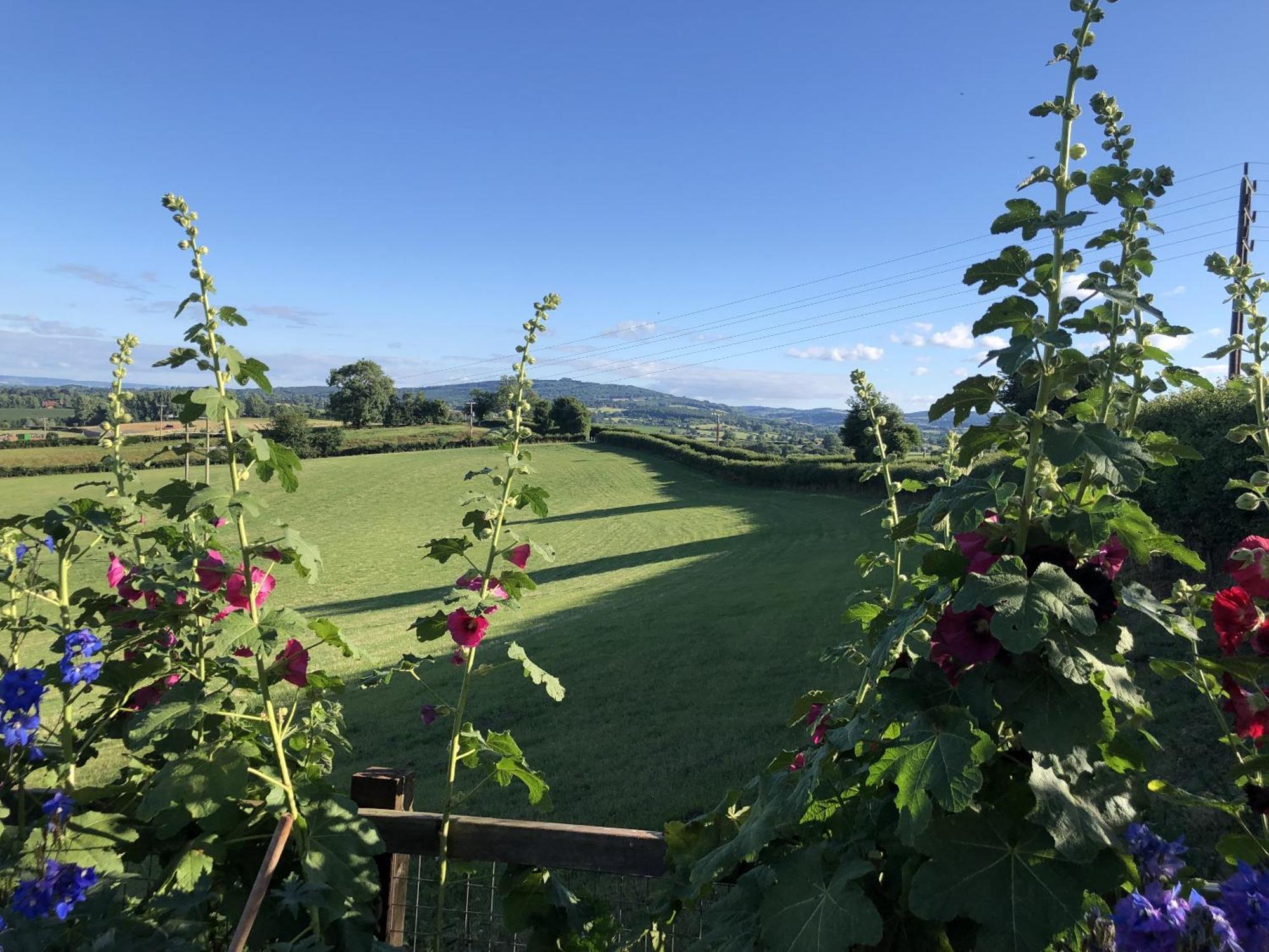 Betula Views Studio Newent Екстер'єр фото