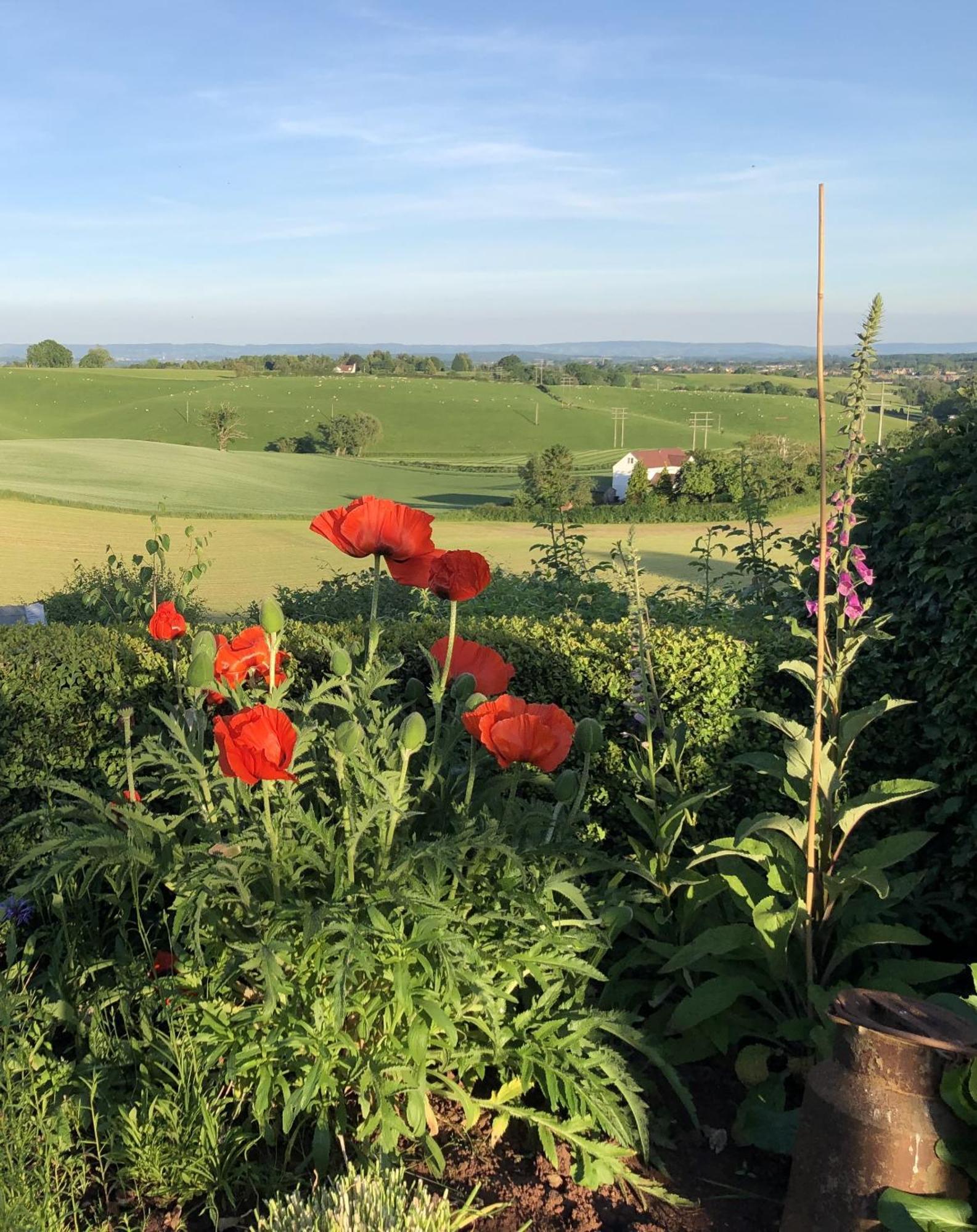 Betula Views Studio Newent Екстер'єр фото