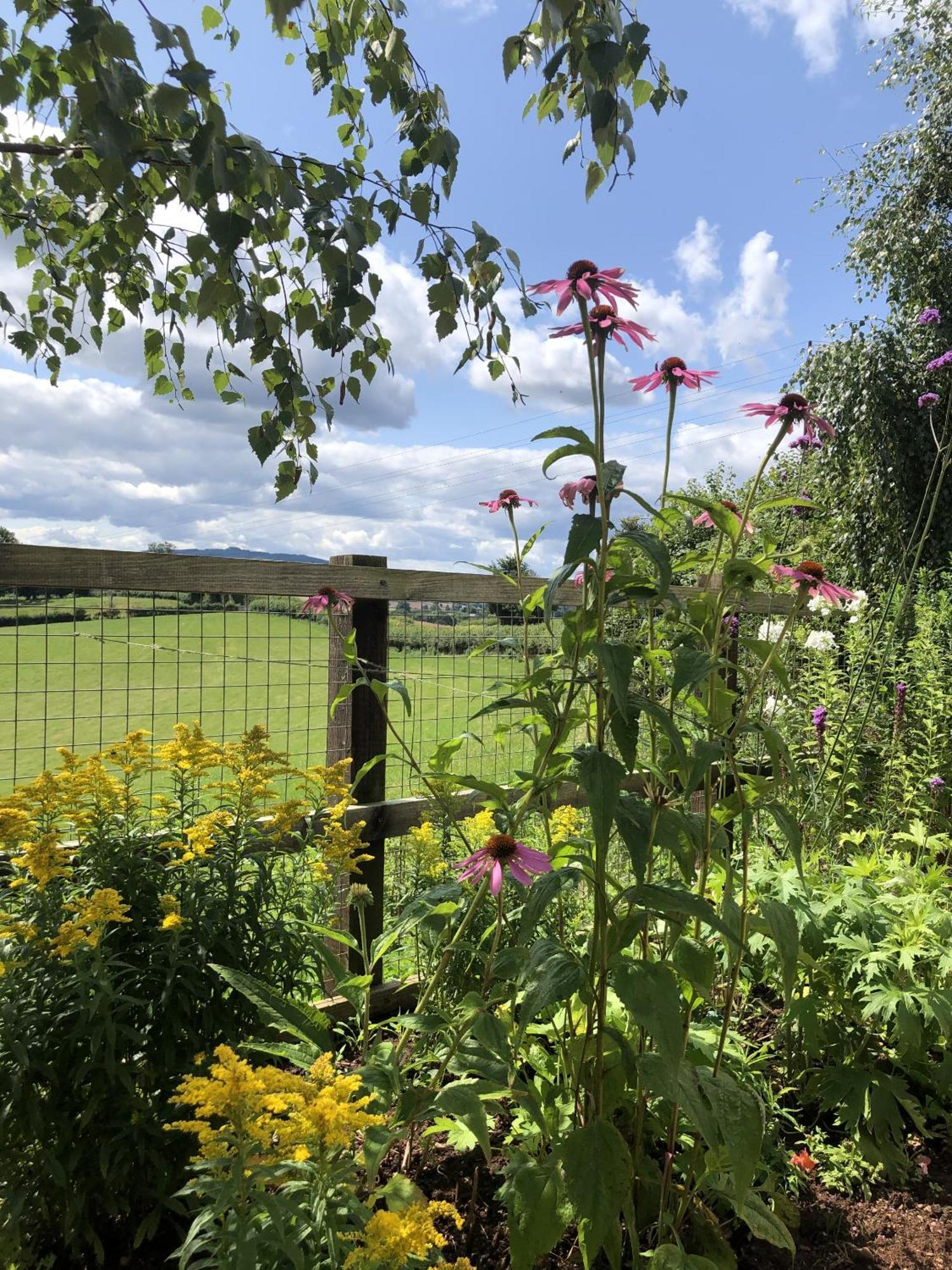 Betula Views Studio Newent Екстер'єр фото
