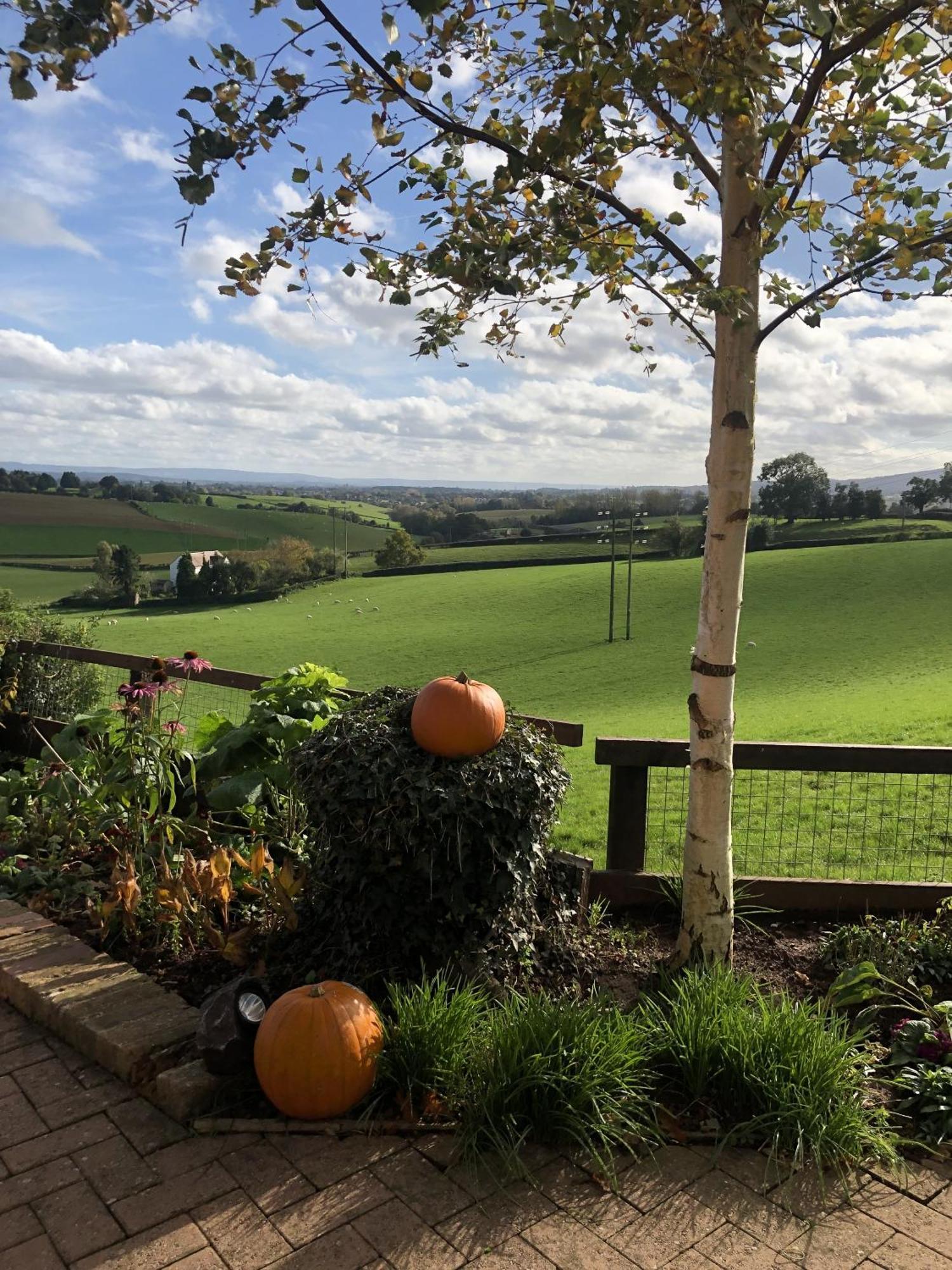 Betula Views Studio Newent Екстер'єр фото